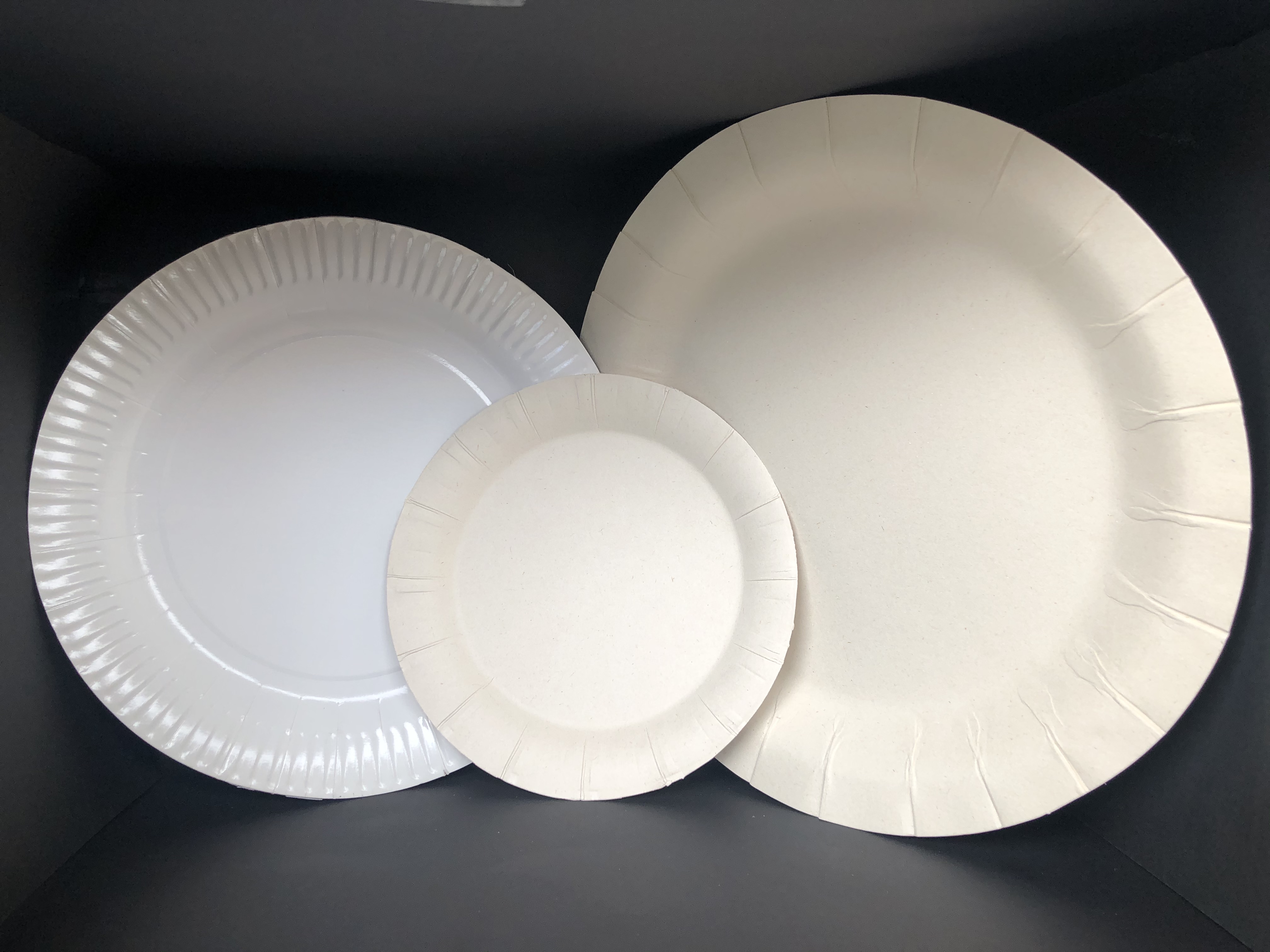  bandejas para almuerzo, bandejas para ponque - bandejas para lechona -  bandeja para tamal - bandejas para arroz con pollo - bandejas biodegrabales -  bandejas de pulpa de caña - bandejas ecoamigables - bandejas economicas de carton 